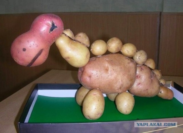 Самолет, исчезнувший в 1955 году, приземлился через 37 лет