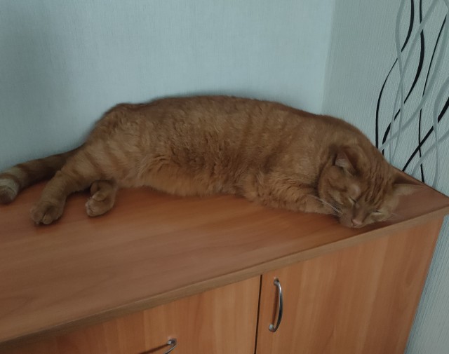 7 кг "рыжья"
