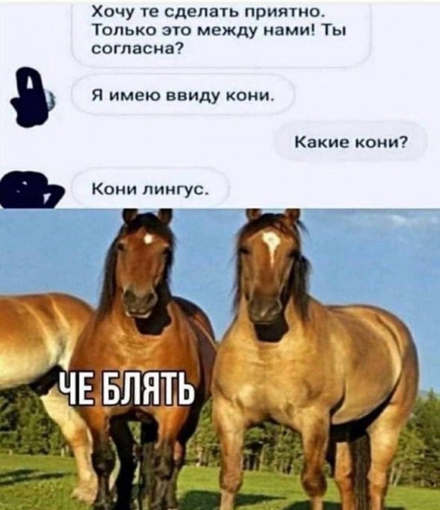 30 пошло-дегракартинок