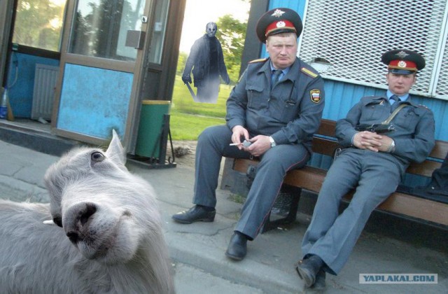 Три товарища