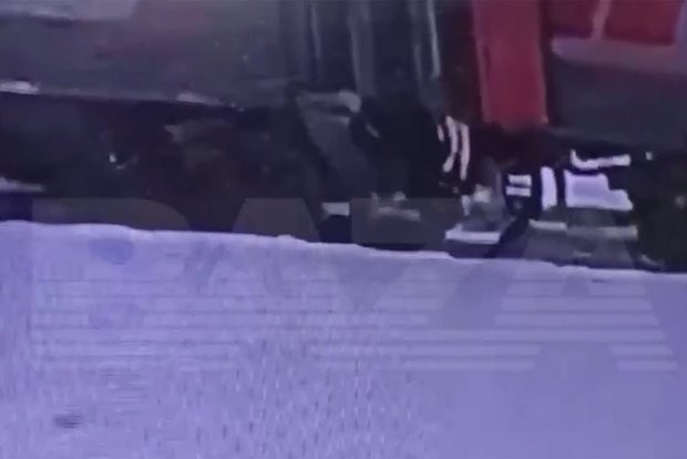 Кот Твикс. Служебная проверка и показания проводницы