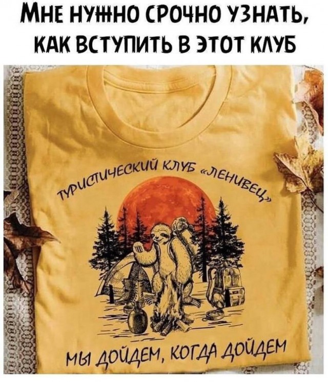18945588.jpg