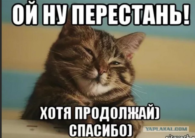 Просто девоньки