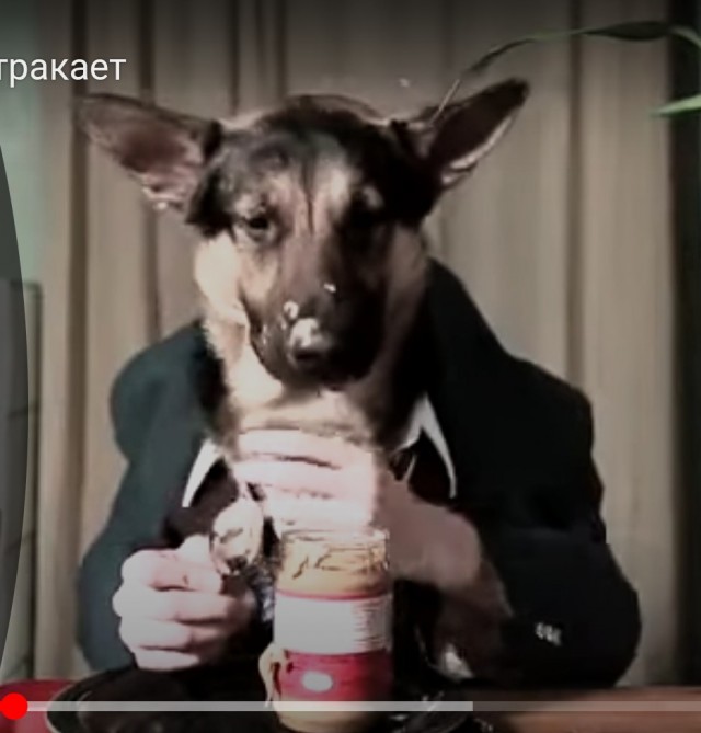 Голод не тетка