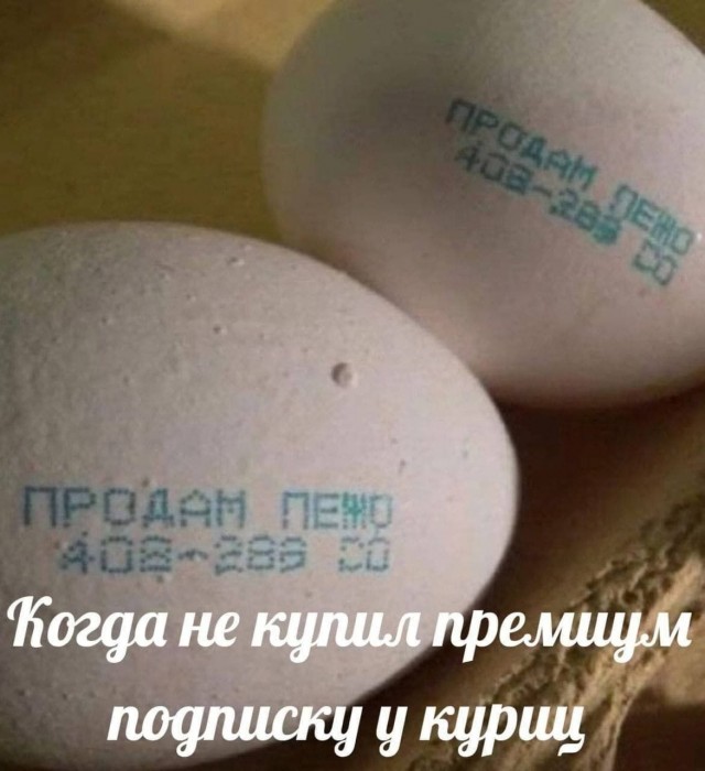 ТРРРидцать тРРРи от 7 мая