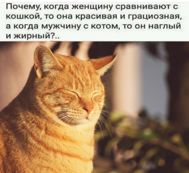 Так себе картинки 01.06.24