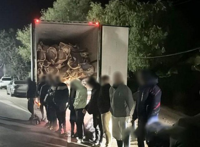 16 украинцев попытались сбежать от мобилизации в Молдавию — в фургоне со свининой.