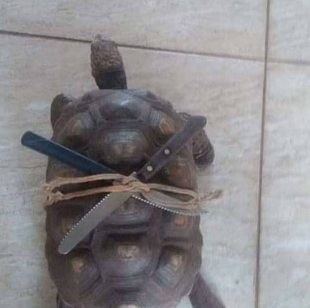 Баянистые деградинки