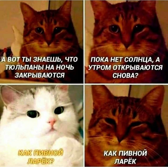 Маленькая пятница 22.01.25