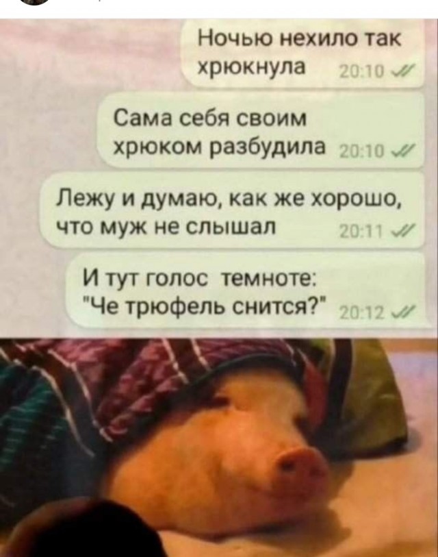 Сборник чтобы подеградировать - 4