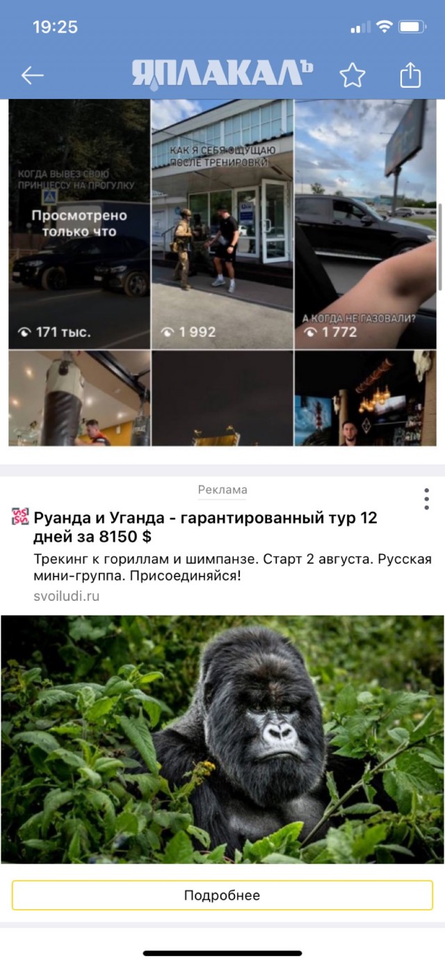 Выгул принцессы