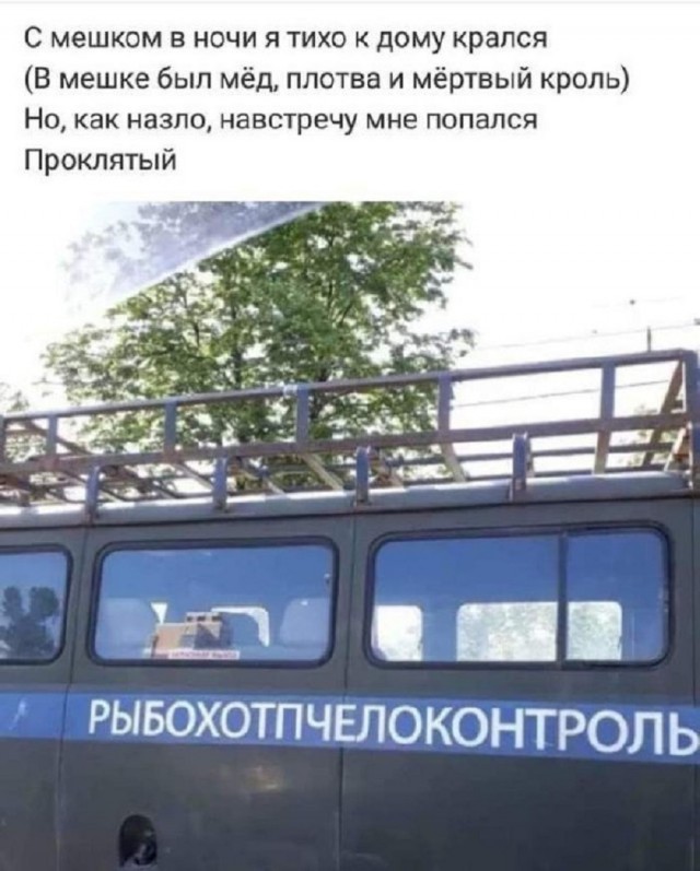 Так себе картинки 28.10.25