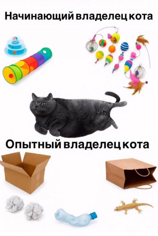 Картинки для деградации 77 (разной степени свежести)