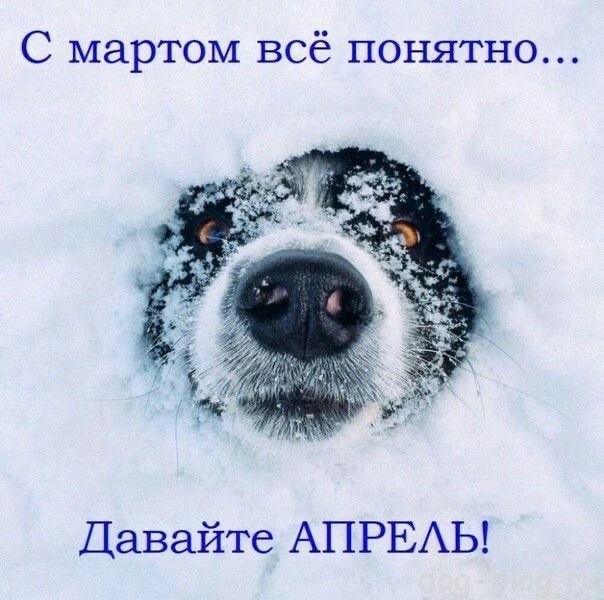 Воскресные картинки