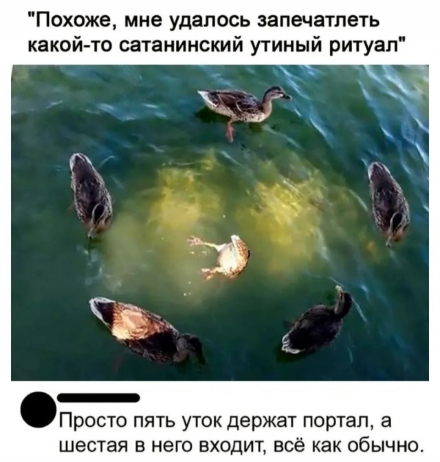 Субботние картинки