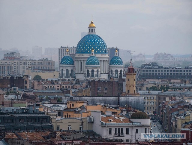 Как я ездил бегать и гулять в Питере⁠⁠