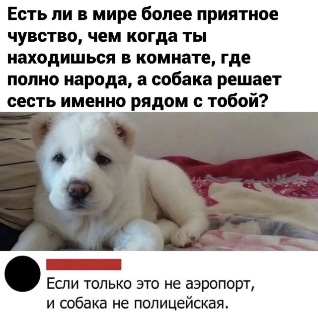 Картинки для деградации 247 (разной степени свежести)