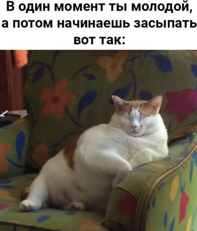 Картинки для деградации 304 (разной степени свежести)