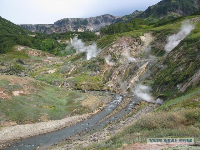 Моя Камчатка