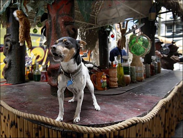 Ярмарка Странностей