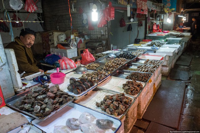 Пекин.  Путевые заметки, часть 1