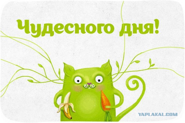 Добряки, плюсующие всех подряд