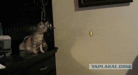 Жадный Марио,
