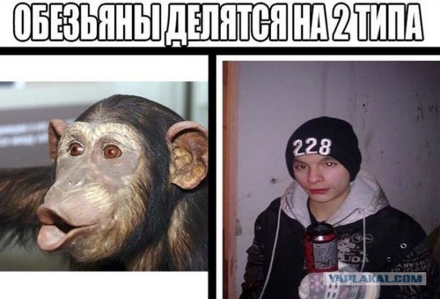 АвтоВАЗ за 2019 год заработал для Renault 155 млн евро