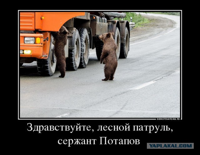 Картинки для настроения