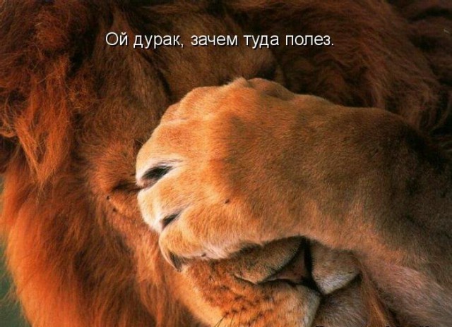"Серёжа, не надо"