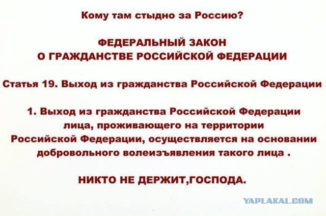 "Нет мочи жить в этой стране без рукколы и без голубики!"