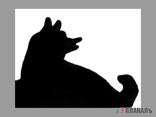 Игры с тенями