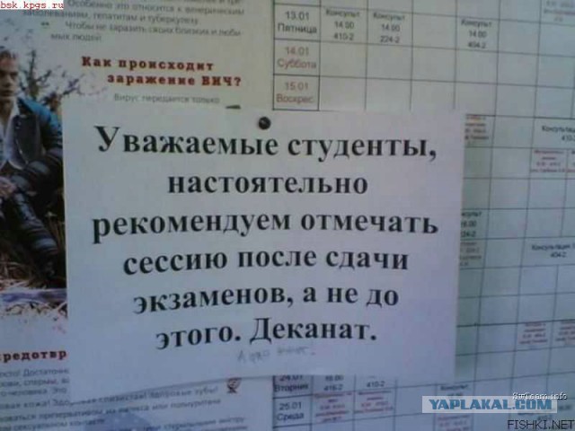 Переезд из Риги в СПБ, или как я чуть психом не стала