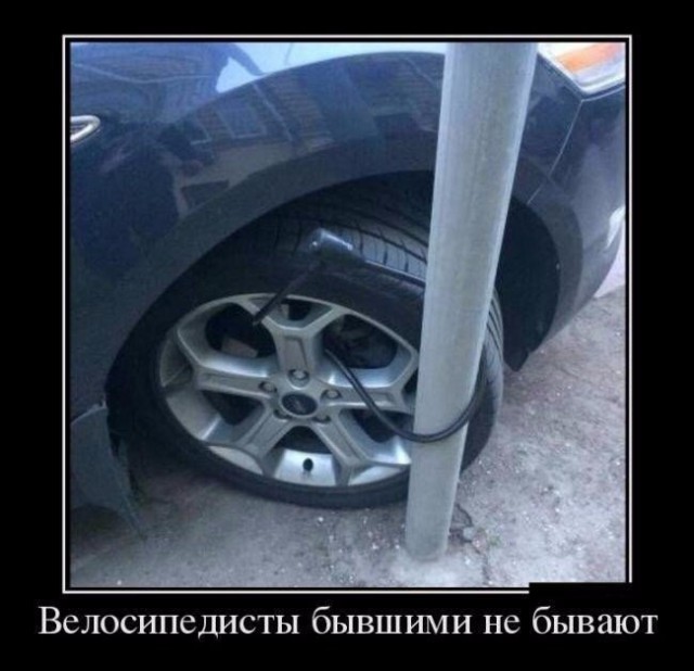 Подборка безудержного веселья