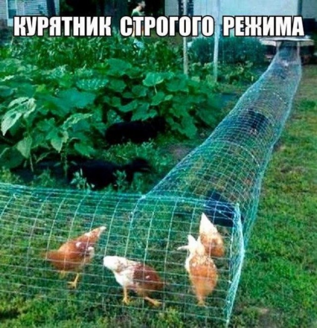 Приколы в стиле "регресс"