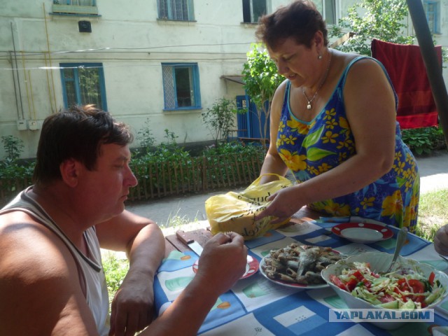 Воспоминания о домайданной Украине