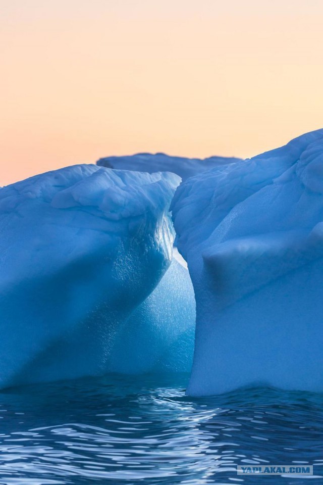 Финалисты конкурса фотографий National Geographic