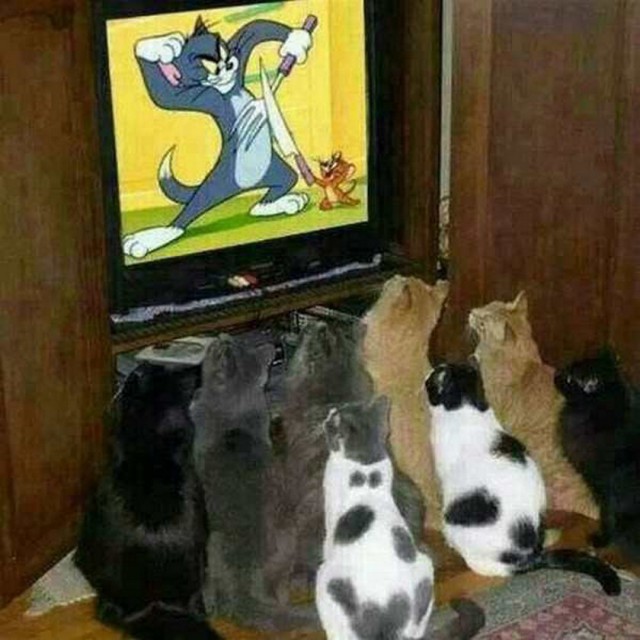 Картинки разные