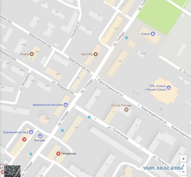 В Подмосковье один из догхантеров, пытаясь усыпить бродячего пса, промахнулся и сделал укол снотворного самому себе