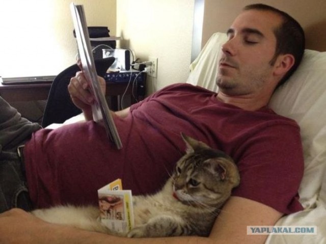 Котовторник 10. 07. 2012