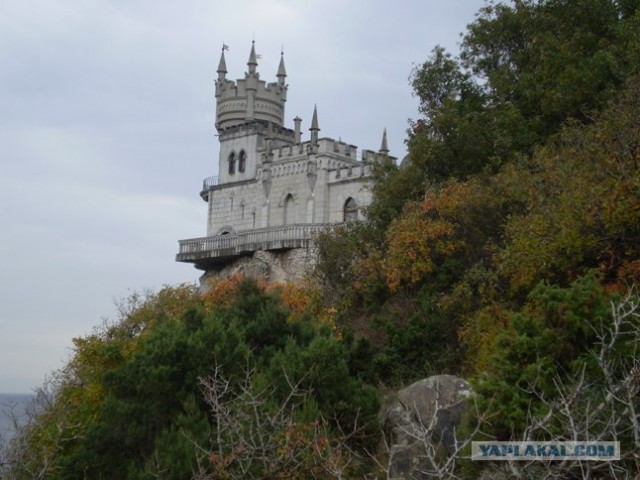 любительская фотография