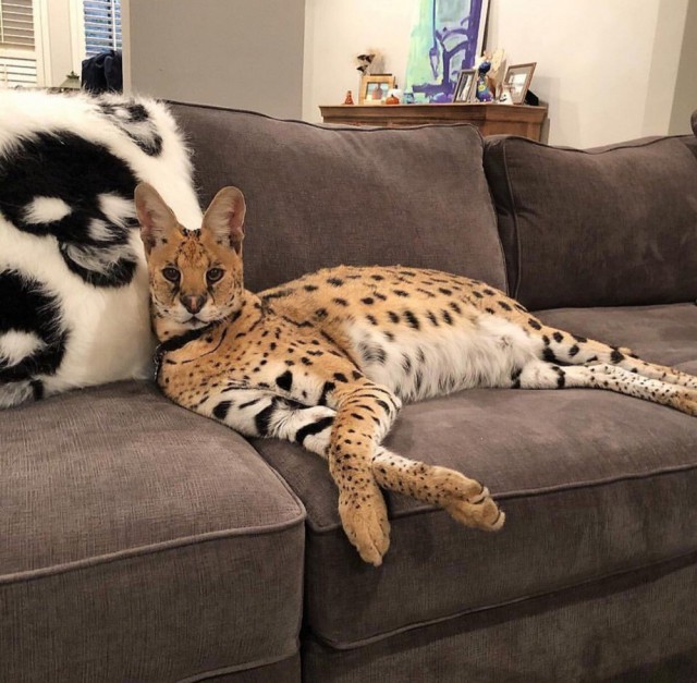 Подборка интересных и веселых картинок 01.04.19