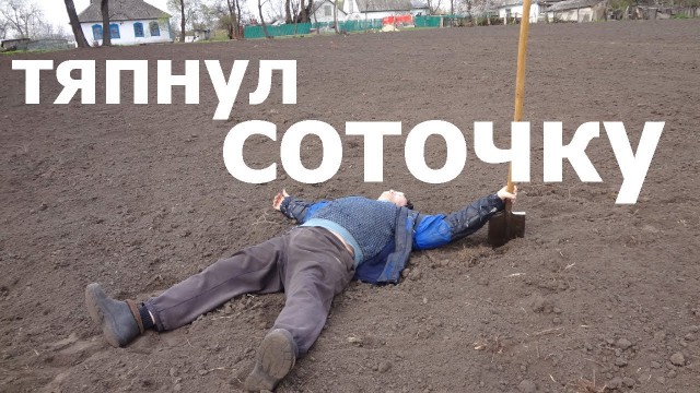 Дача: пять главных плюсов