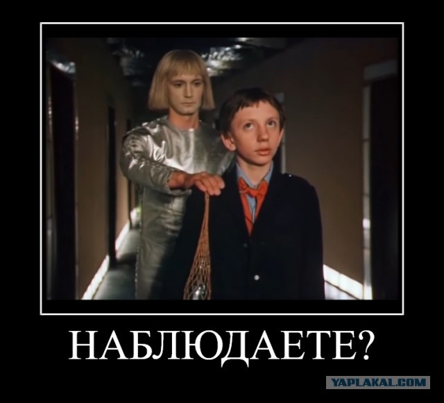Тихо пишу доносы