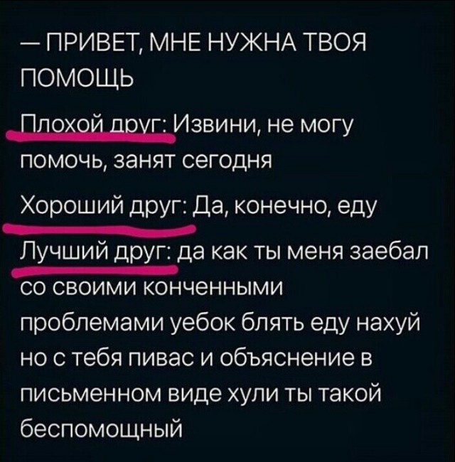 Фотки и картинки: юморные и красивые, забавные и милые 17.11.20