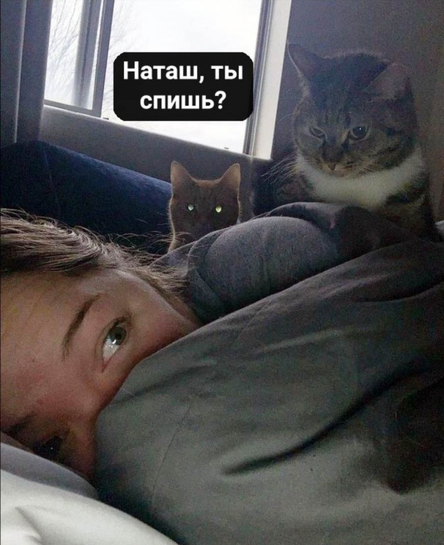 Мемы про Наташу