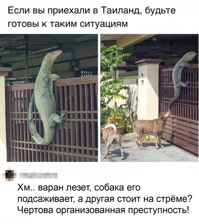 Так себе картинки 24.03.21
