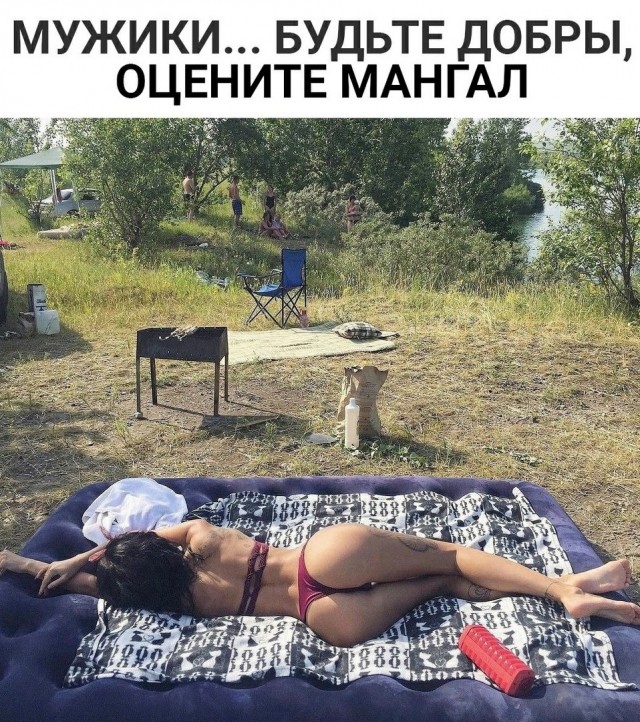 15654688.jpg