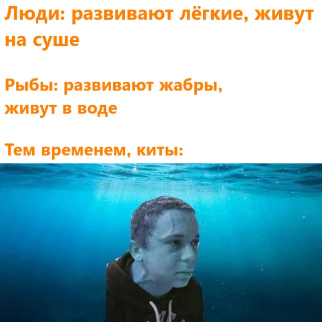 Всяческие картинки 29.06.2021