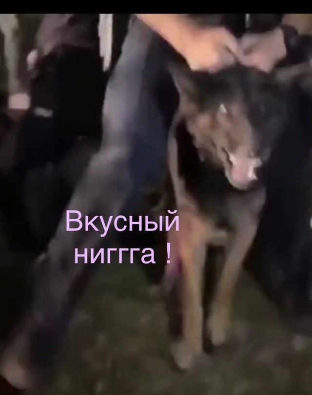 Привёл ровно к тому месту, куда надо кусать